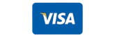 visa pay main logo
